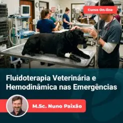 Fluidoterapia Veterinária e Hemodinâmica nas Emergências