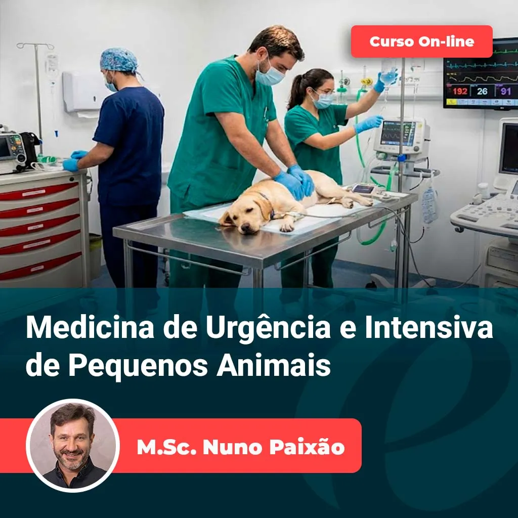 Curso de Emergência Veterinária e UTI de Pequenos Animais | Equalis | Equalis Equipe veterinária atendendo cão em emergência — Curso de Emergência Veterinária e UTI de Pequenos Animais, com Prof. M.Sc. Nuno Paixão (Equalis)
