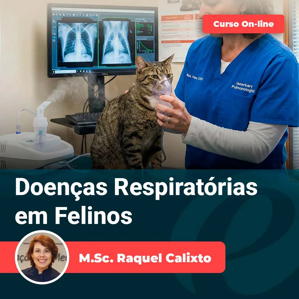 20 | Equalis Doenças Respiratórias em Felinos