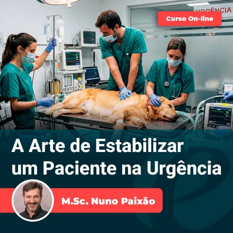 15 | Equalis A Arte de Estabilizar um Paciente na Urgência