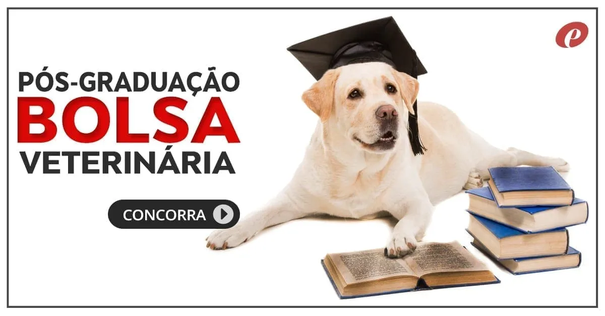 Bolsa-de-Pos-Graduacao-Veterinaria-Equalis-1 | Equalis Bolsa-de-Pós-Graduação-Veterinária-Equalis