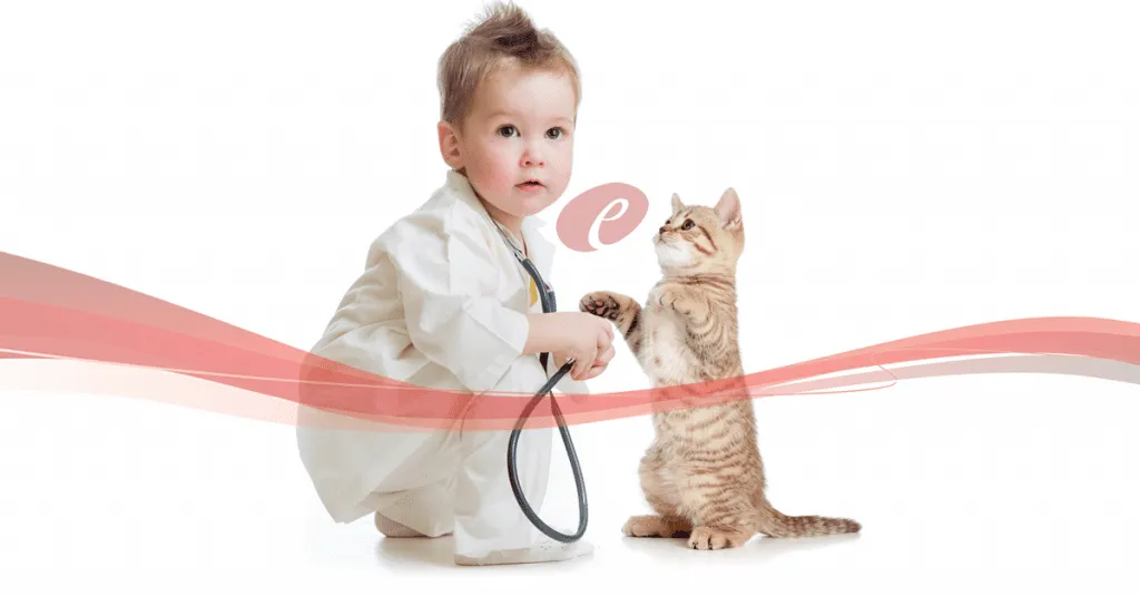 Especializacao-Cursos-Pos-Graduacao-Felinos-Atualizacao-Gatos-Pequenos-Animais.fw_-1024x535 | Equalis Atualização em Medicina Interna de Felinos – Se você pode sonhar, você pode fazer!