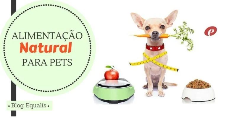 O boom da alimentação natural para pets no Brasil e o médico veterinário