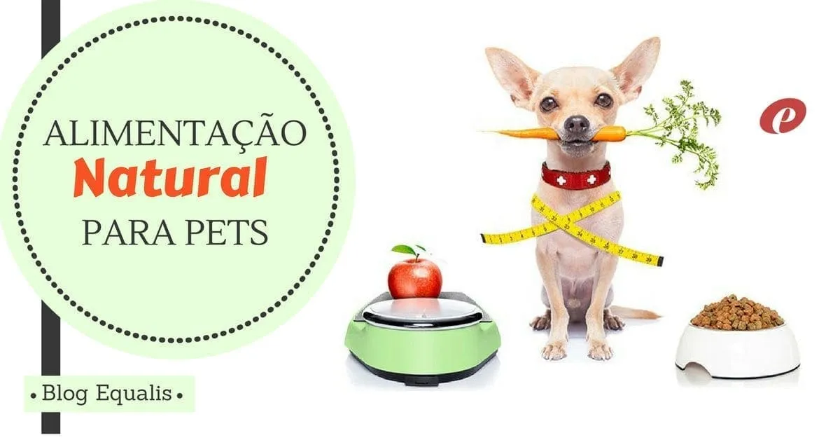 alimentacao-natural-para-pets-medico-veterinario-equalis | Equalis O boom da alimentação natural para pets no Brasil e o médico veterinário