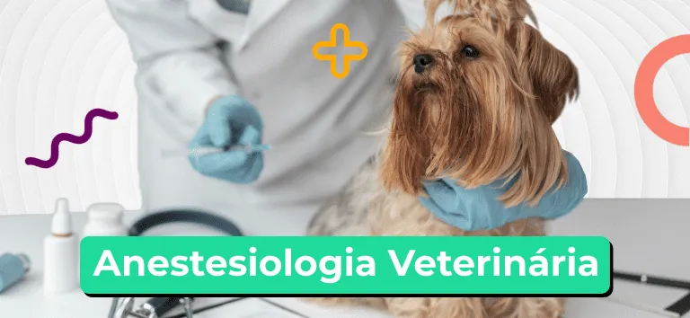 anestesioblog | Equalis Anestesiologia Veterinária: Uma Abordagem Abrangente e Atualizada