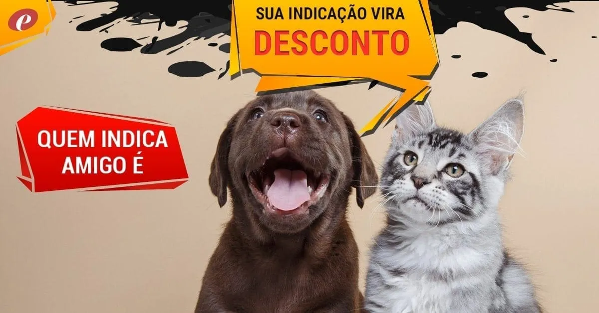 desconto-na-pos-graduacao | Equalis desconto na pós graduação