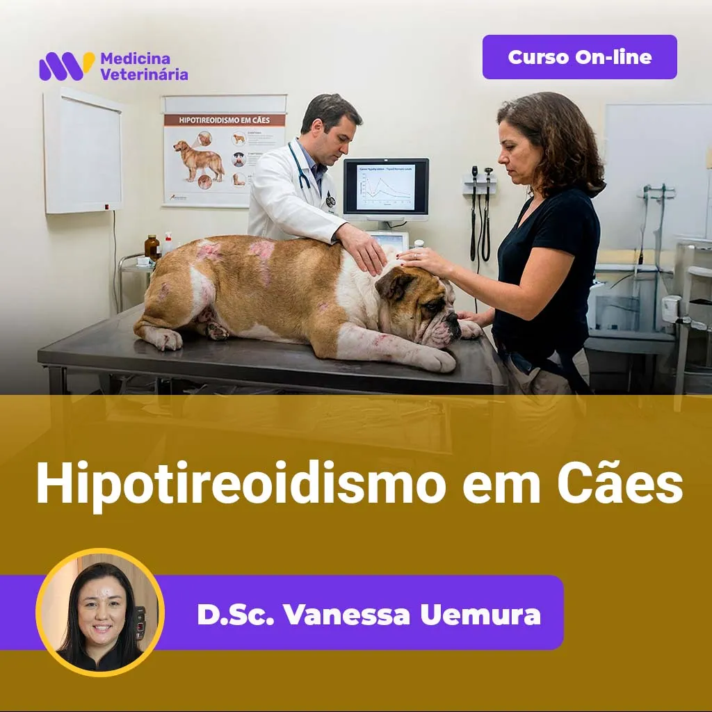 01 | Equalis Hipotireoidismo em Cães