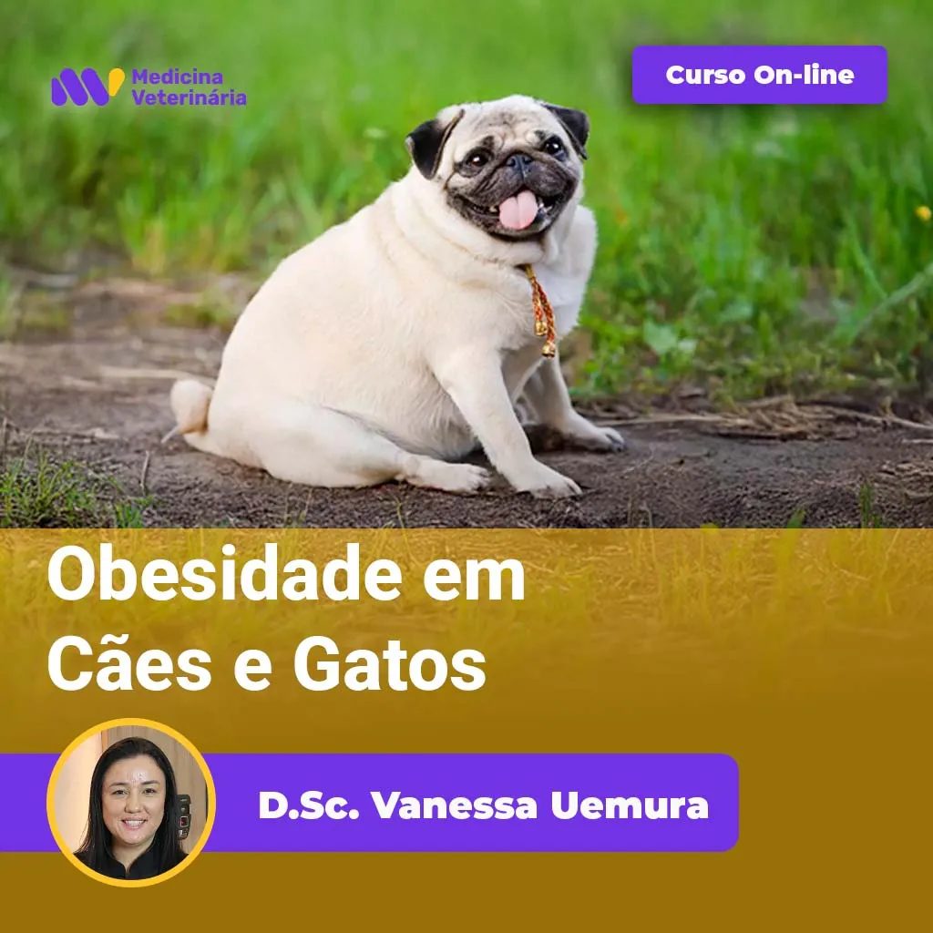07 | Equalis Obesidade em Cães e Gatos