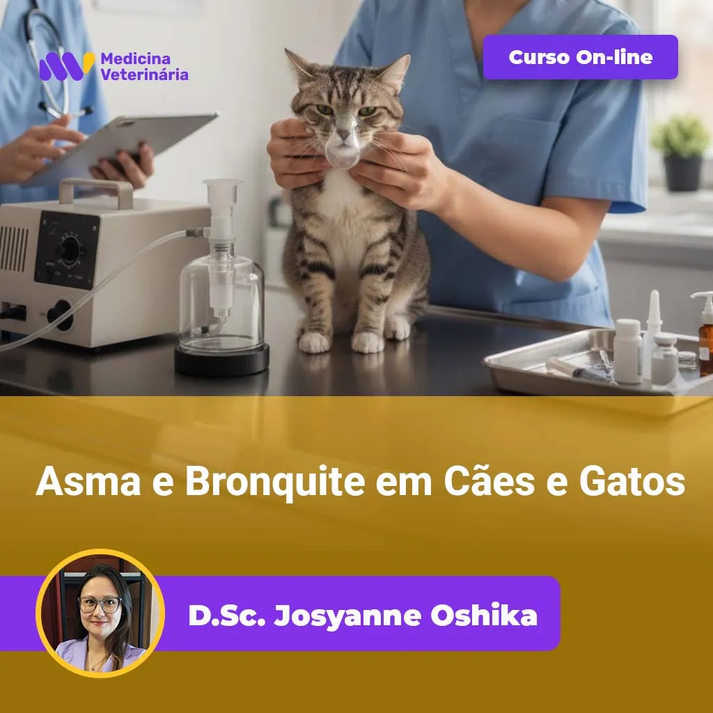 Asma e Bonquite em Cães e Gatos | Equalis