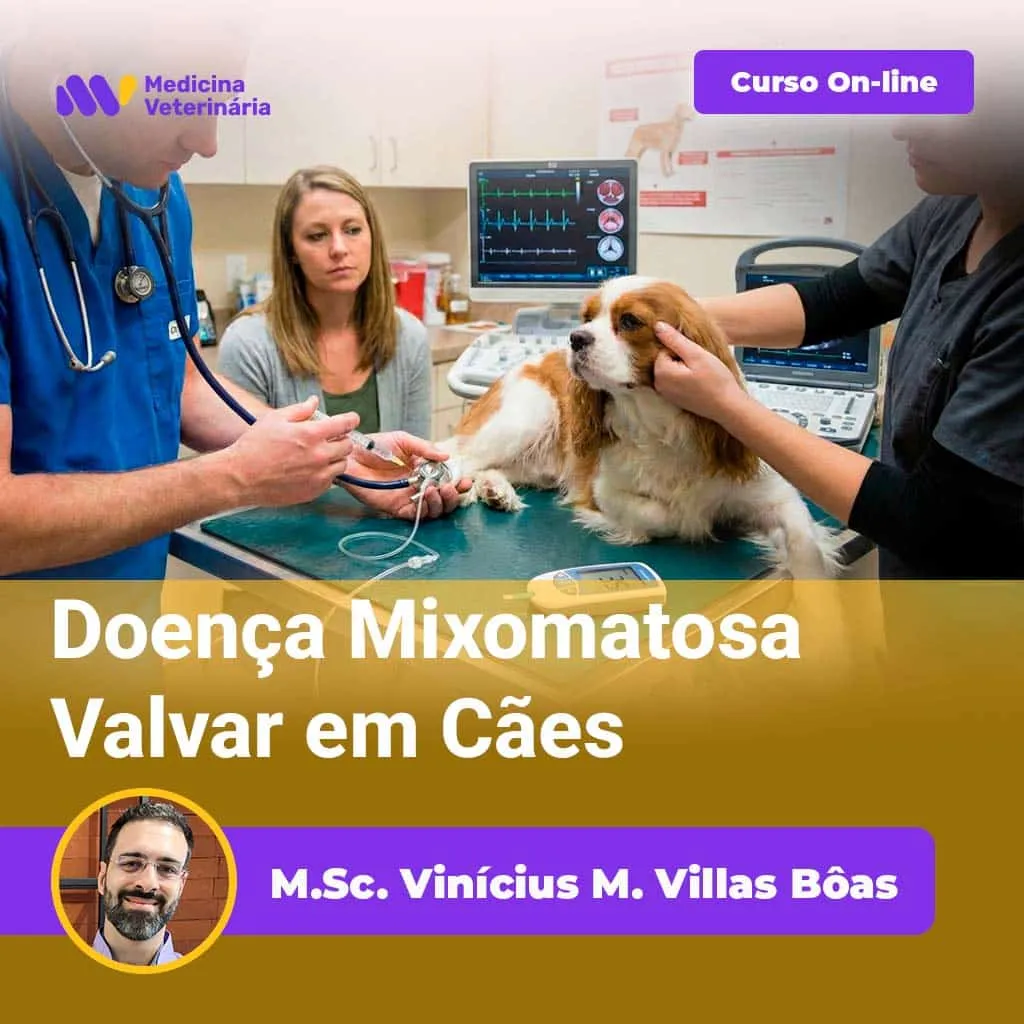 Doença Mixomatosa Valvar em Cães | Equalis Doença Mixomatosa Valvar em Cães