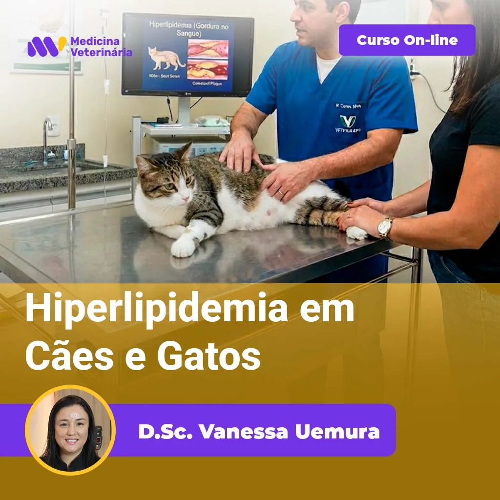 Hiperlipidemia em Cães e Gatos | Equalis