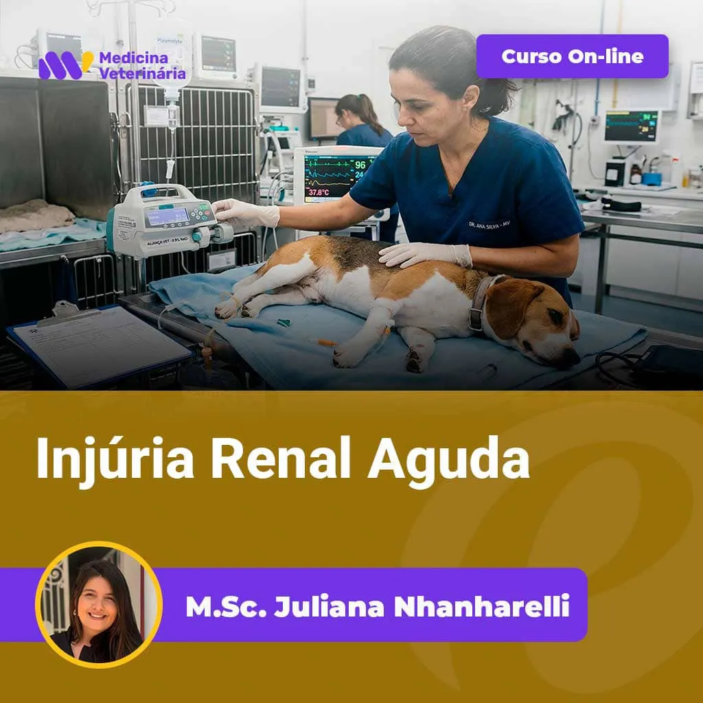 Injúria-Renal-Aguda_edited | Equalis Veterinary clinic scene: a vet in blue scrubs treats a dog on a medical table with monitors; a purple 'Curso On-line' badge and the title 'Injúria Renal Aguda' appear, with instructor 'M.Sc. Juliana Nhnharelli' at the bottom in a purple banner.
