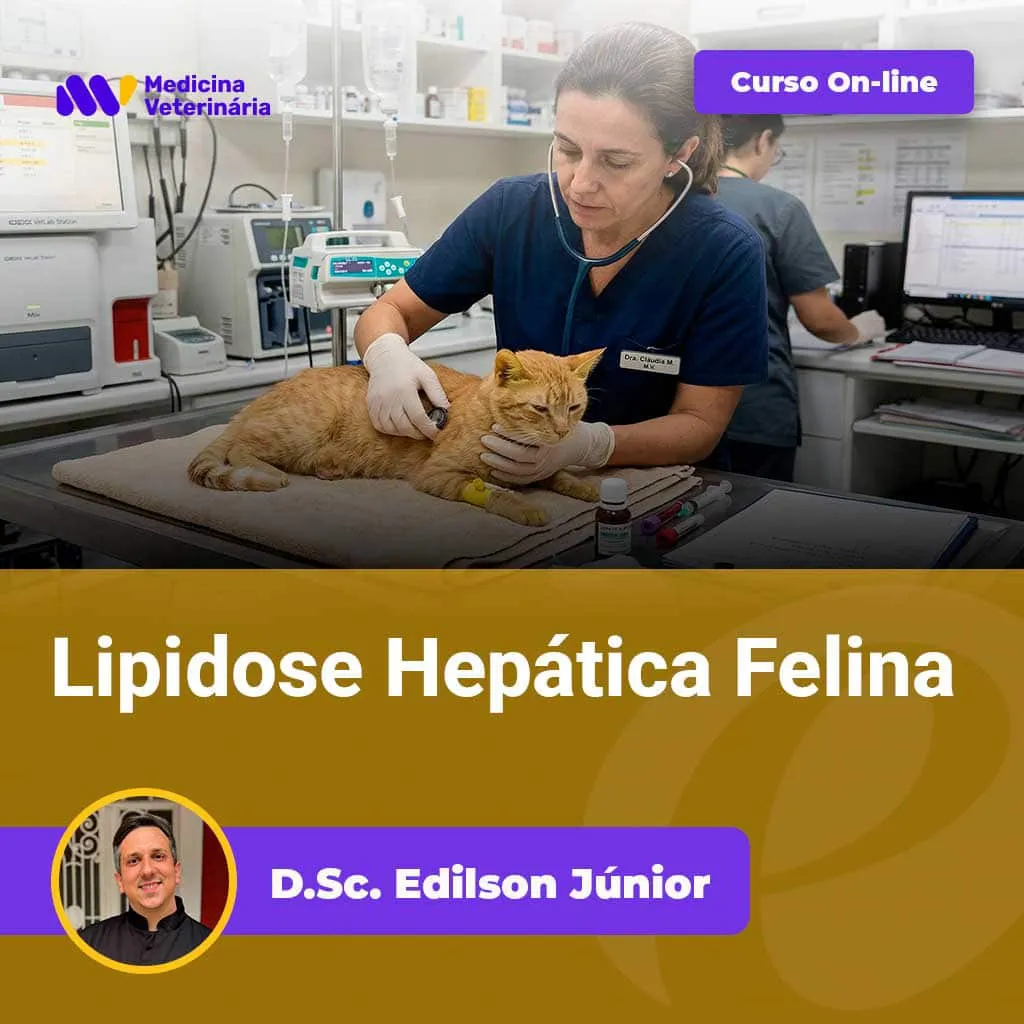 Lipidose-Hepática-Felina | Equalis Veterinary clinic scene: a veterinarian in dark scrubs uses a stethoscope on an orange cat on an exam table; background medical equipment visible; overlay promotes an online course titled 'Lipidosa Hepática Felina' with a photo of Dr. Edilson Júnior.