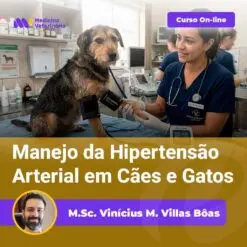 Vet examines a dog on an exam table in a clinic; banner promotes an online course on managing hypertension in dogs and cats.