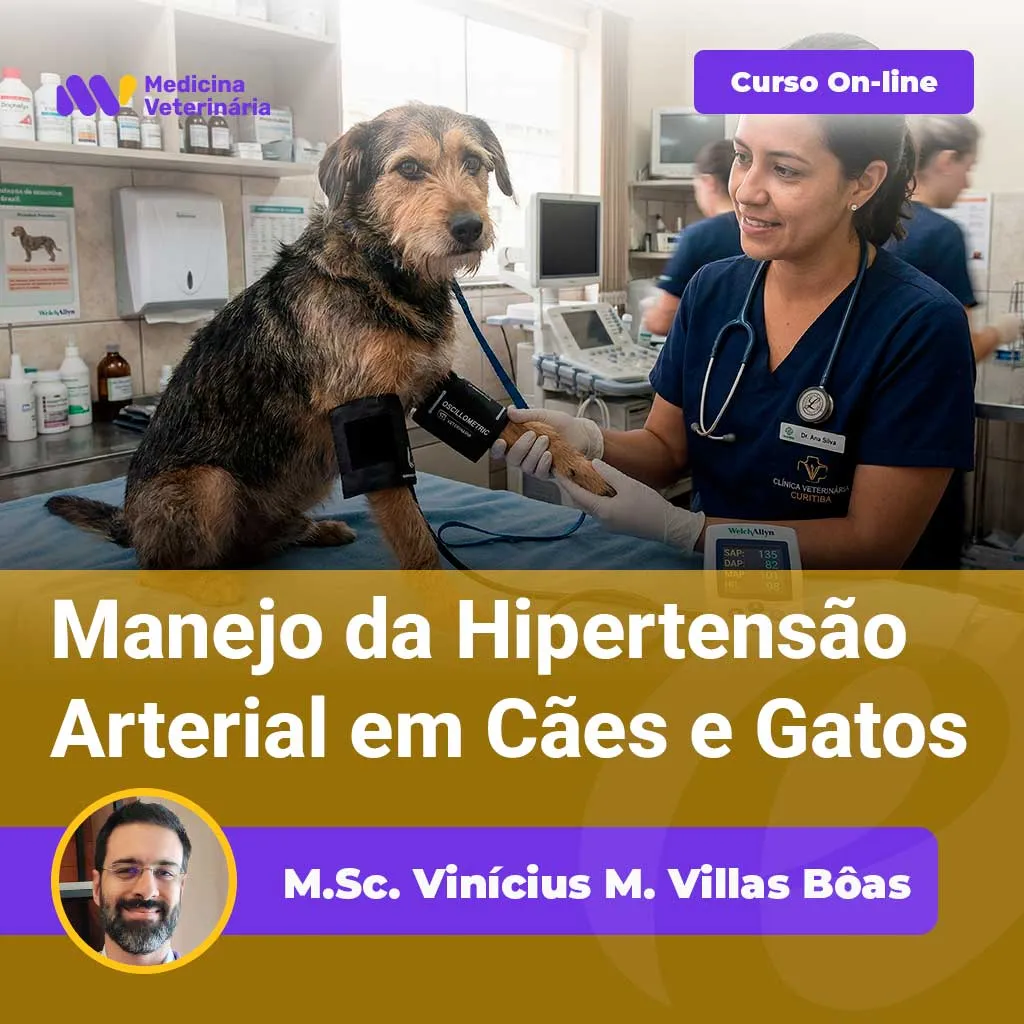 Manejo-da-Hipertensão-Arterial-em-Cães-e-Gatos | Equalis Vet examines a dog on an exam table in a clinic; banner promotes an online course on managing hypertension in dogs and cats.