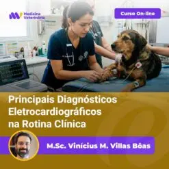 Online veterinary course banner: a veterinarian checks a dog's ECG in a clinic, with the course title and instructor name.