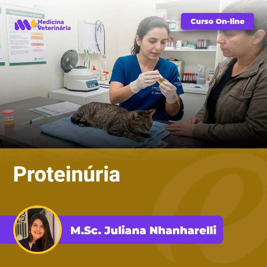 Proteinúria | Equalis Veterinarian in blue scrubs treats a cat on an exam table; a purple 'Curso On-line' banner is visible.