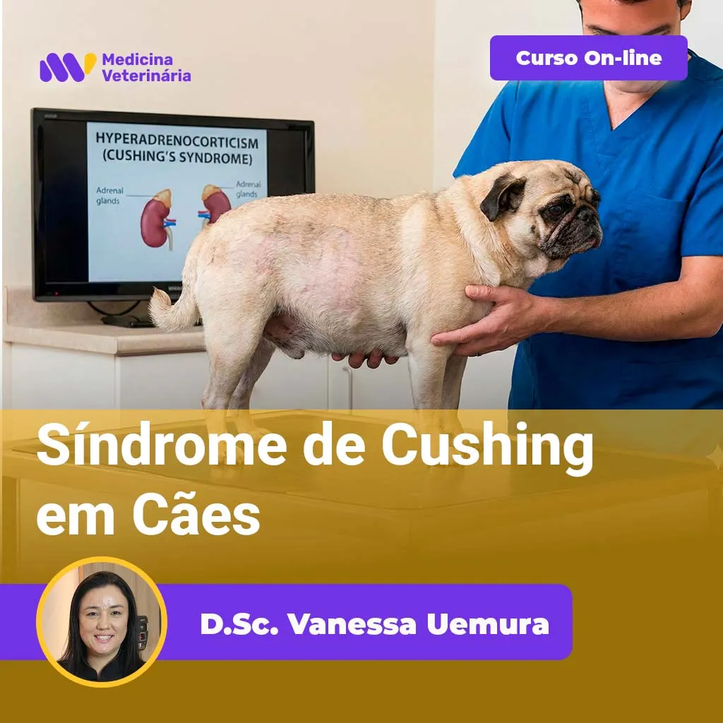 Síndrome de Cushing em Cães | Equalis Síndrome de Cushing em Cães
