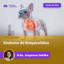 Síndrome do Braquicefálico