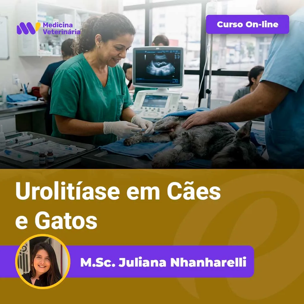 Urolitíase-em-Cães-e-Gatos | Equalis Vet team performing a procedure on a dog on an exam table, with an ultrasound monitor in the background and course branding overlaid on the image.