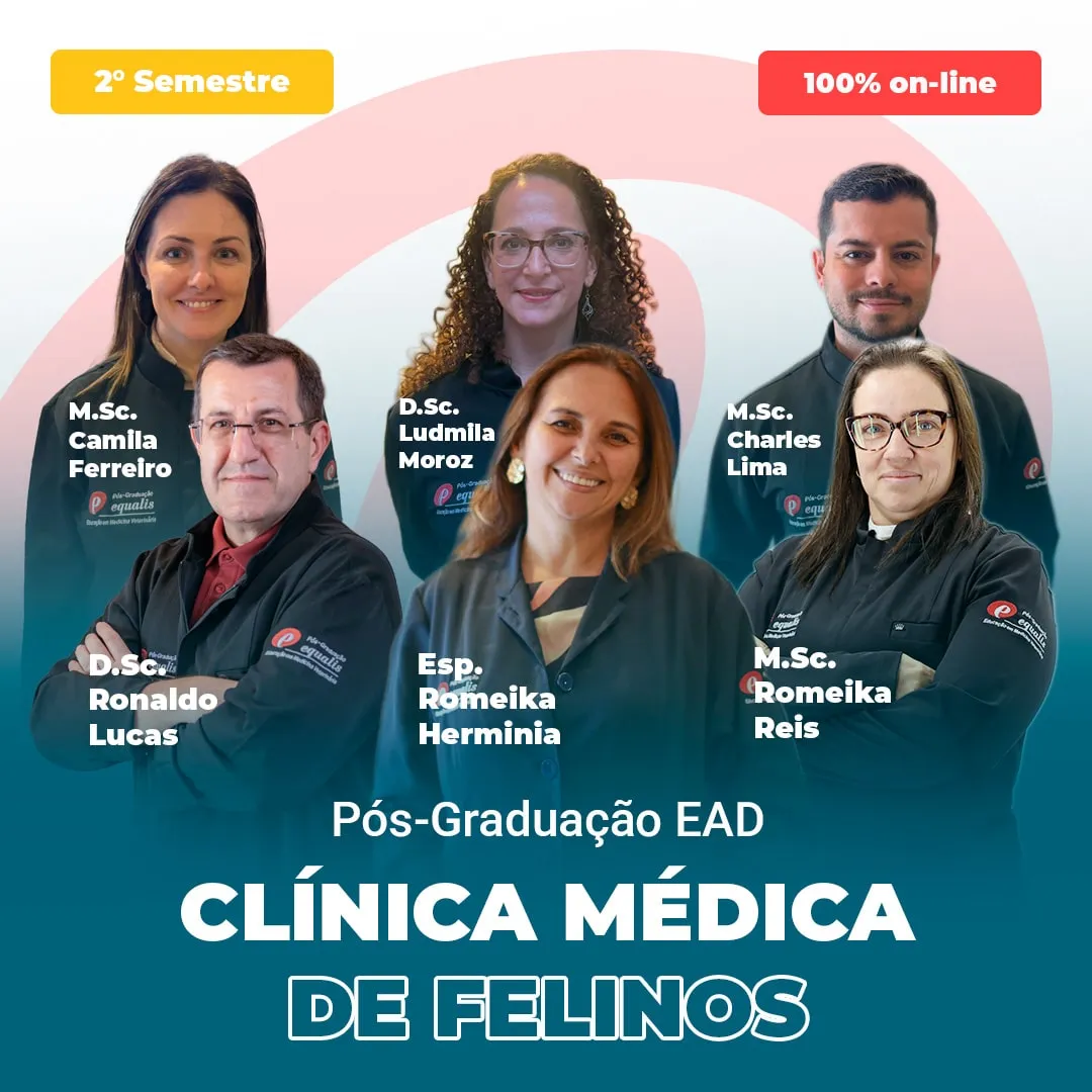 CMF 1 Segundo semestre 2026 | Equalis Group of seven veterinary clinicians posed in front of a teal-pink poster advertising a feline medicine post-grad program, with 'CLÍNICA MÉDICA DE FELINOS' text visible at bottom.