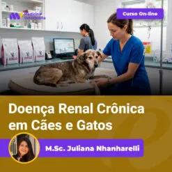 Dog on an exam table being treated by a vet in blue scrubs; online course Doença Renal Crônica em Cães e Gatos by M.Sc. Juliana Nhnharelli.