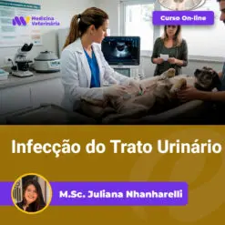 Veterinary clinic scene: a veterinarian treats a dog on an exam table while a person holds the dog; overlay banners read 'Curso On-line' and 'Infecção do Trato Urinário'; circular instructor photo and name shown at bottom.