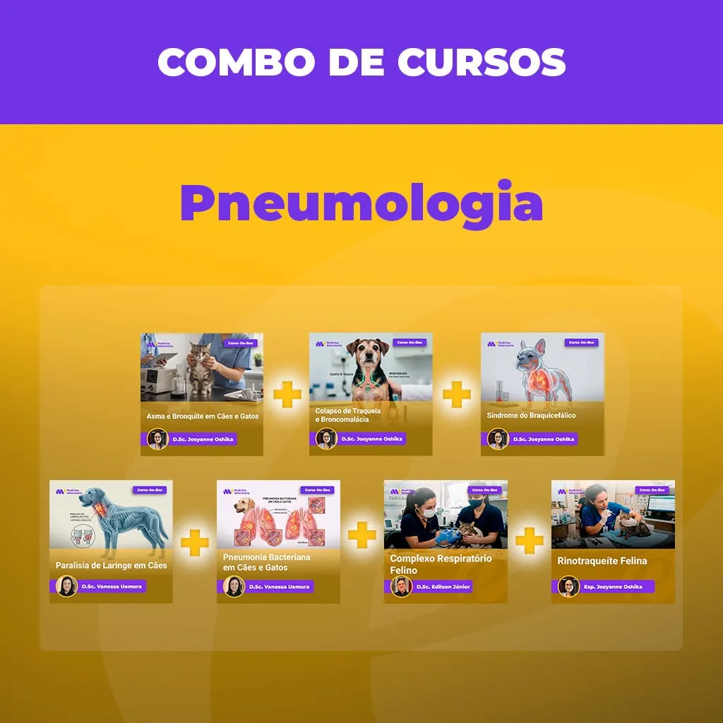 COMBO Pneumologia | Equalis Promo banner for 'Combo de Cursos' showing six course cards with plus signs connecting them, set on a yellow gradient background with a purple header.